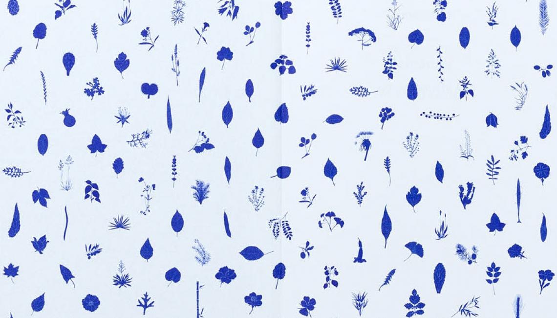 Belvárosi Növényvilág