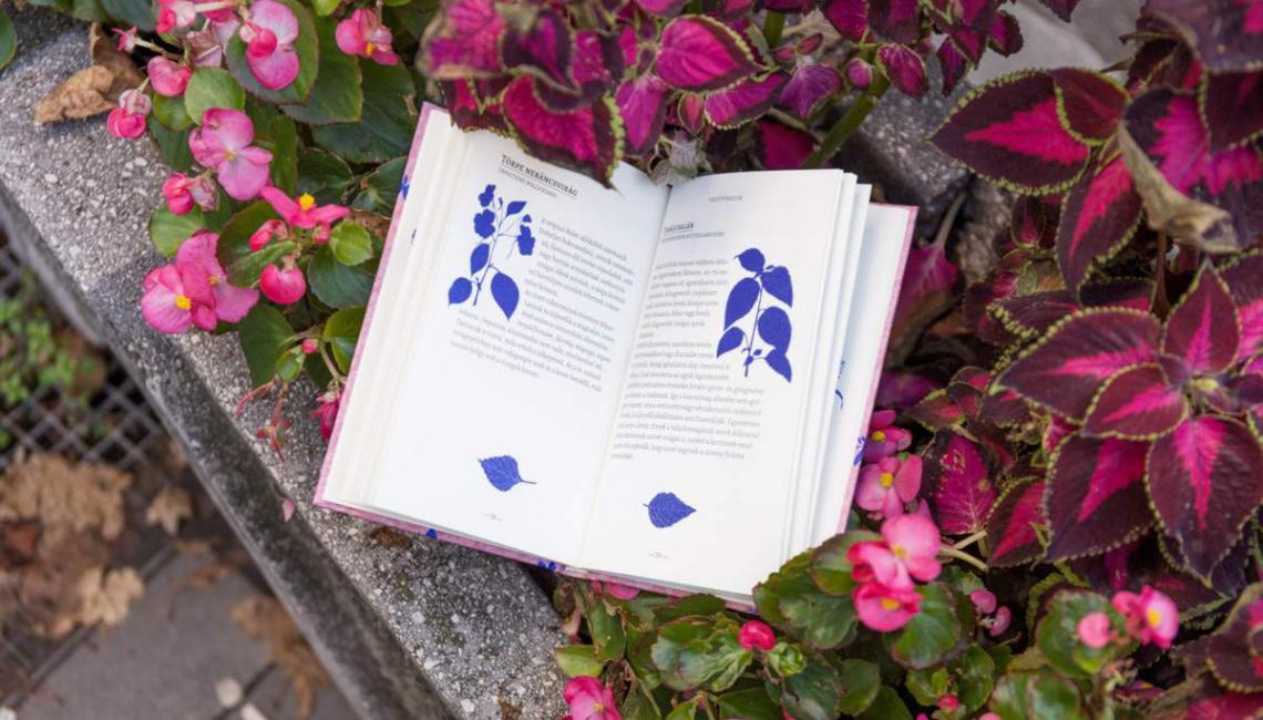 Belvárosi Növényvilág